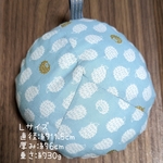 乳がん全摘用パッド Ｌサイズ