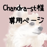 Chandra-st専用ページ