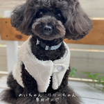 めいちゃん　リリーちゃん専用ページ