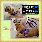 【はなまま/ママ】ユリウスk9ハーネスにも対応♪ネームラベル  タグ購入ページ