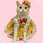 送料無料☆彡パフスリーブが可愛い苺のジャンバースカート風ワンピース〜猫のワンピース