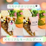 うちの子 ペット メモリアル キーホルダー クッション 犬 猫 名前入り メッセージ入り 写真 オリジナル ペットロス ✨
