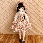 アイリスコレクトプチ ドレスセット24