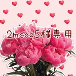 「 2mcoq5様専用 」ページ