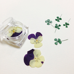 お花とクローバーの押し花  セット
