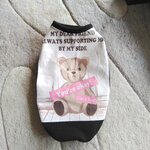 犬服！カワイイ　クマさん