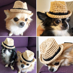 オシャレ犬間違いなし♡小型犬用ハット☆ブラック☆