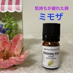 ミモザ　上質グレード精油　100%エッセンシャルオイル