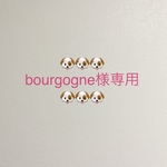 🐶🐶🐶bourgogne様専用🐶🐶🐶