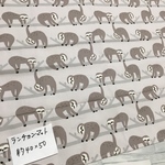 約40×50☆ランチョンマット