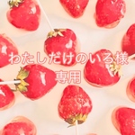 わたしだけのいろ様 専用✿