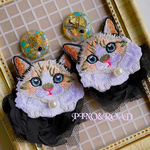 𓃠𓃠𓃠𓃠❋  フサフサ猫ちゃん  ❋𓃠𓃠𓃠