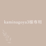 kaminagoya3様専用