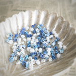 かすみ草    ✽royal  blue✽