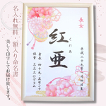 ＼名入れ無料・送料無料／選べる6種類 華やか和柄の命名書 出産祝いやおうち＆スタジオ撮影にも映えます♡2026年ひな祭り❀𓂃𓏸