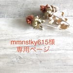 mmnstky615様＊専用ページ