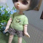 オビツ１１　timp　ブラウニー　パンダのTシャツ