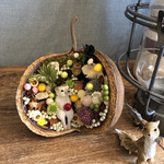 ブッタナッツ 木の実アレンジ♪ハリネズミさん