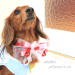 ハートがいっぱい♥チュールとレースリボンのバレンタインチョーカー  ～ワンちゃん ネコちゃん用～  犬用チョーカー 　