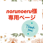 norunoeru様専用オーダーページ♡.+*:゜+