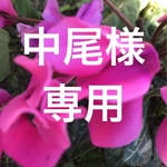 中尾様 専用