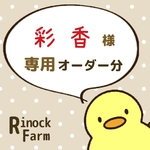 彩香様専用🐥オーダー分