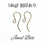 14kgf＊カービングピアスフック