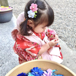 桜　ヘアクリップ🌸つまみ細工　桜　1つ