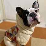 ♡冬物犬服オーダー★あったか～♪北欧三角柄ボアパーカー★赤色中型犬小型犬フレンチブルドッグパグ服フレブル服トイプーボストンテリア