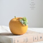 タニクアップル！？ アンティークイエローリンゴと多肉植物　フェイクグリーン　アーティフィシャルフラワー