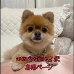 ♥️candysinoさまご予約分♥️