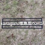 kanagishi様専用ページ