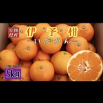 【四国 九州 本州のお客様用】フルーツ果物くだもの果実みかん柑橘《県産／いよかん》