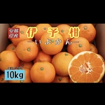 【四国 九州 本州のお客様用】フルーツ果物くだもの果実みかん柑橘《県産／いよかん》