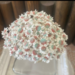 パステルツートン❣️スターフラワーブロッサムアレンジ加工30輪販売❣️ハンドメイド花材カラードライフラワー