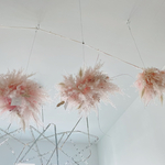 flying wreath " Anya "  フライングリース パンパスグラス  ピンク 春色 ドライフラワーリース