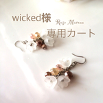 wicked様専用カート
