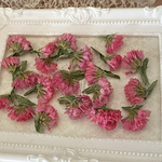 レア色❣️スターチスレッド小分け❣️ハンドメイド花材ドライフラワー
