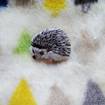 ハリネズミの刺繍ブローチ　小動物
