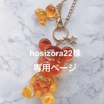 hosizora22様専用ページ