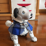 [再販]タータンブルーのウインターケープ