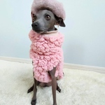 オーダー犬服  ダブルボア もこもこひつじさん タンクトップ ピンク
