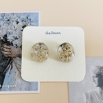 クリアガラスピアス