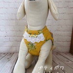 犬猫ハーネス ２点止め　ミモザ💐ブーケ　