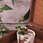 割れた器に小さな世界を　petit winter