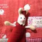 🍎　kirakiraさま専用　🍎