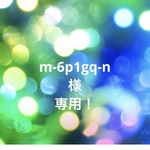 m-6p1gq-n様　専用！