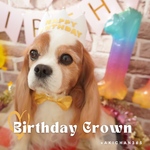 ミニ バースデークラウン HAPPY BIRTHDAY《王冠、ベビークラウン、誕生日、バースデー 、記念日、1歳、ペット、あご紐、犬、猫、うさぎ》
