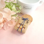 ミニチュア〇袋入りクッキー♪クレイ