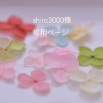 shiro3000様　専用ページ